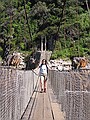 The suspension bridge at Storm's River