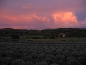 Sunset over the lavendar